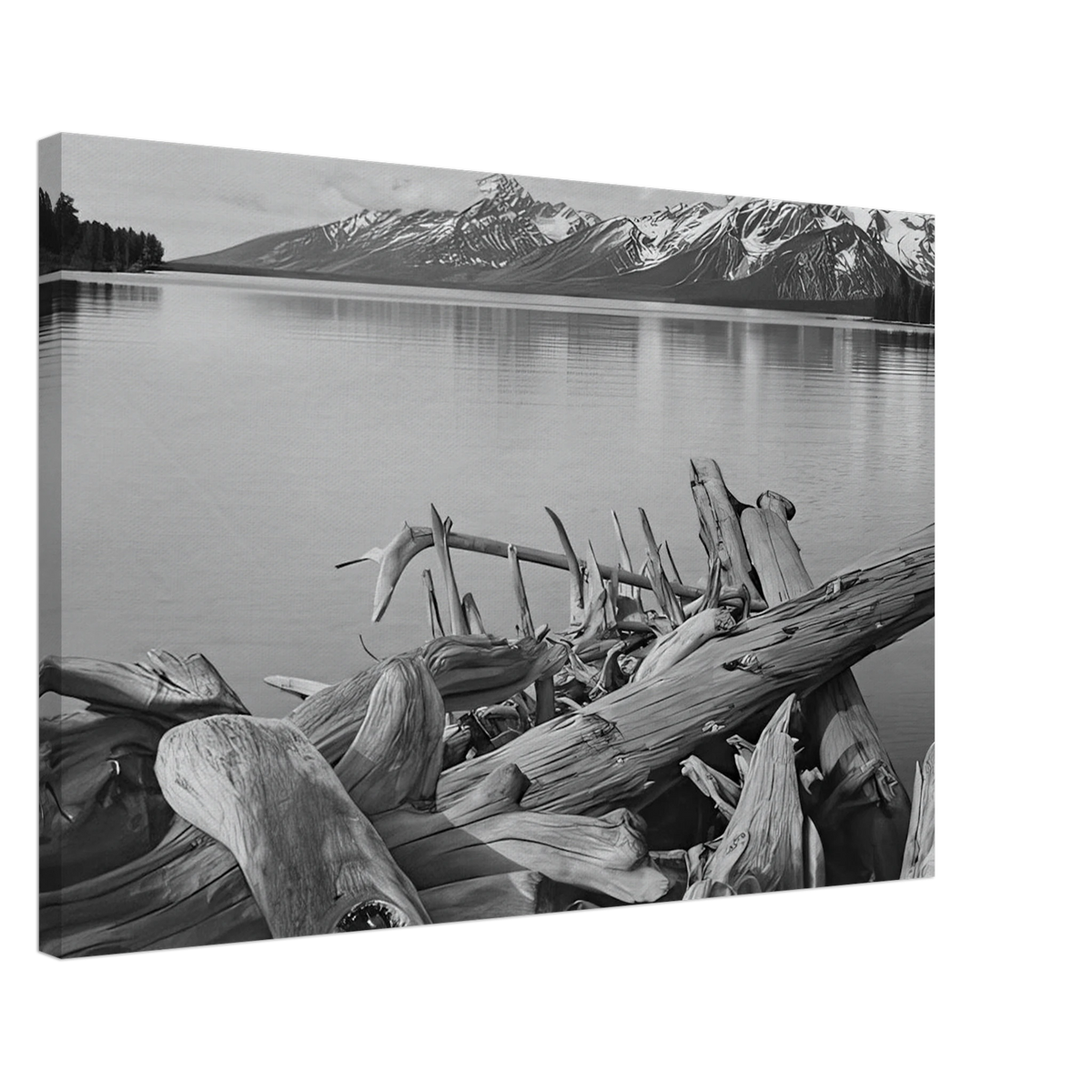 Grand Teton National Park, Wyoming Canvas | Ansel Adams Canvas | Ansel Adams Store