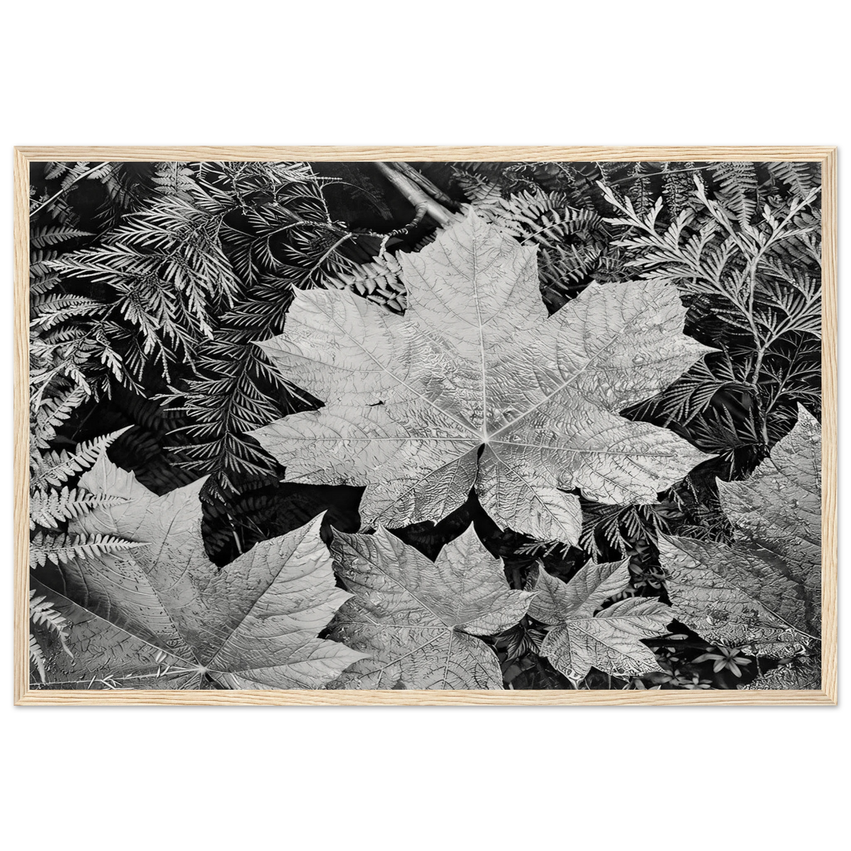 In Glacier National Park Framed Poster | Ansel Adams Framed Prints Wall Art | Ansel Adams Store