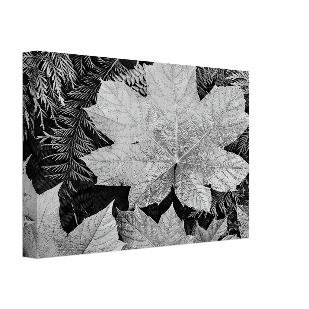 In Glacier National Park Canvas | Ansel Adams Canvas | Ansel Adams Store