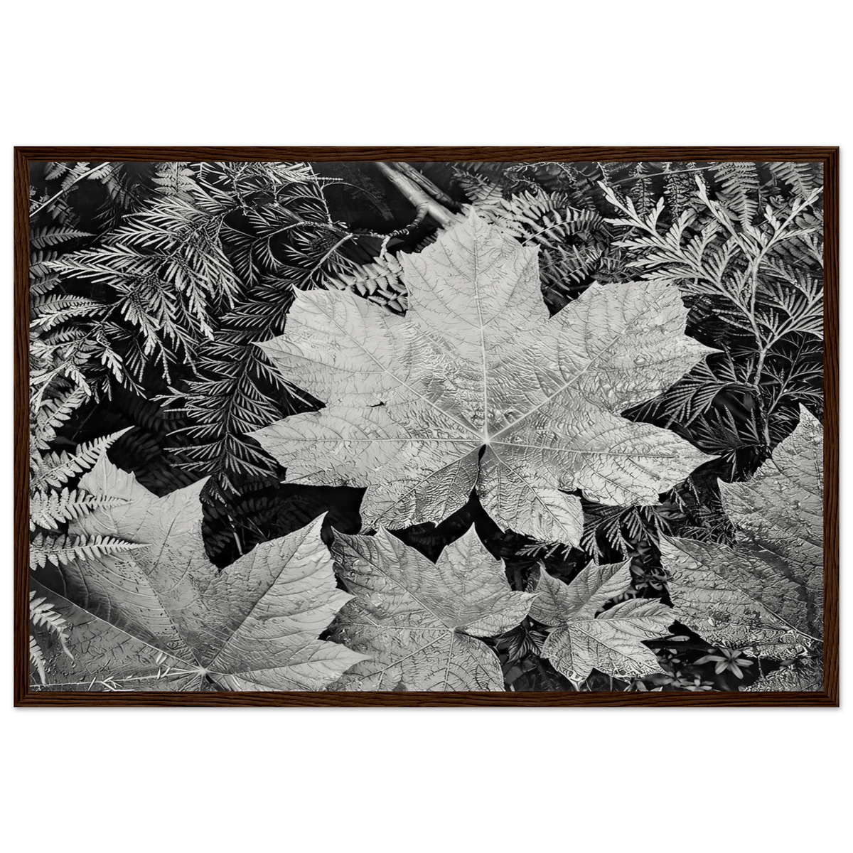 In Glacier National Park Framed Poster | Ansel Adams Framed Prints Wall Art | Ansel Adams Store