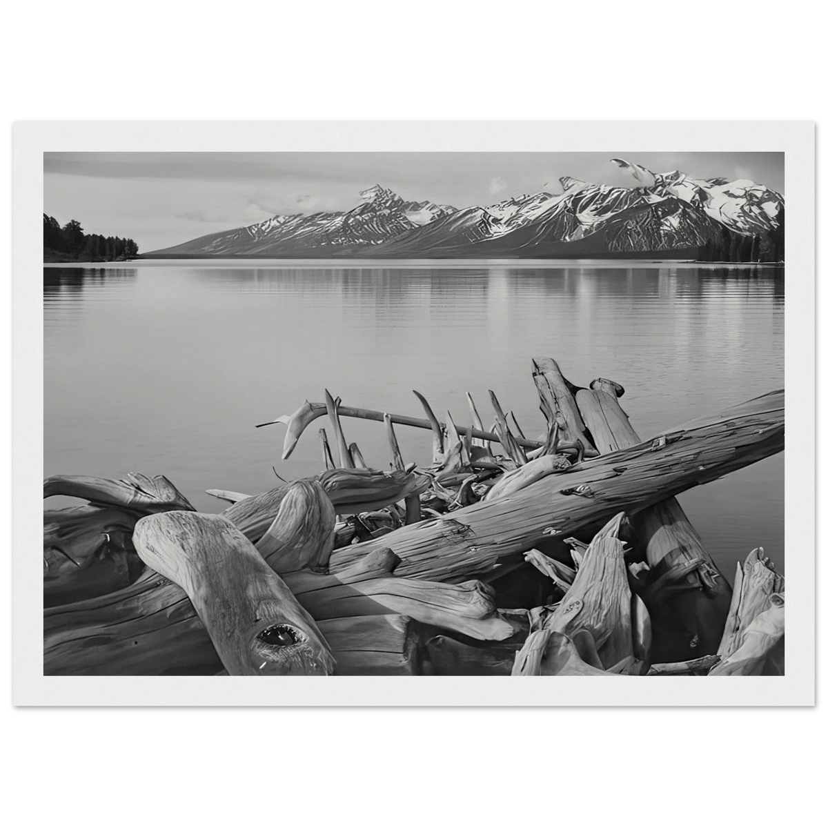 Grand Teton National Park, Wyoming Framed Poster | Ansel Adams Framed Prints Wall Art | Ansel Adams Store
