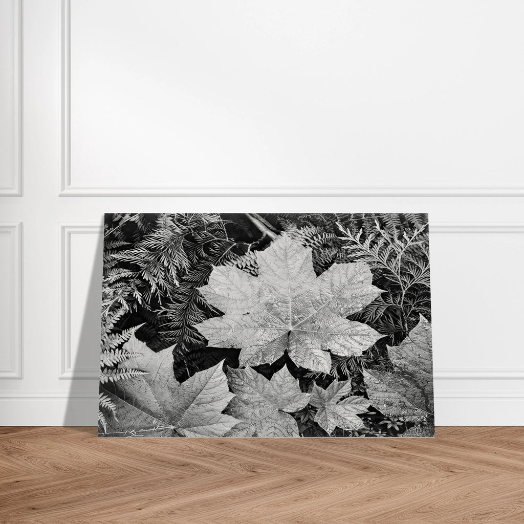 In Glacier National Park Poster | Ansel Adams Poster | Ansel Adams Store