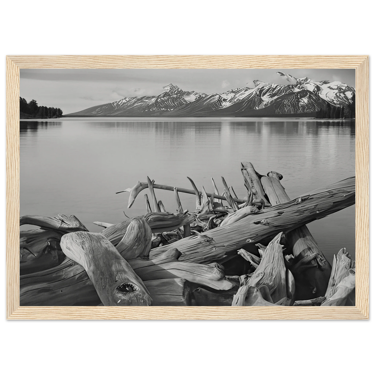 Grand Teton National Park, Wyoming Framed Poster | Ansel Adams Framed Prints Wall Art | Ansel Adams Store