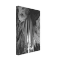 Onyx drapes in the Papoose Room, Carlsbad Caverns Canvas | Ansel Adams Canvas | Ansel Adams Store