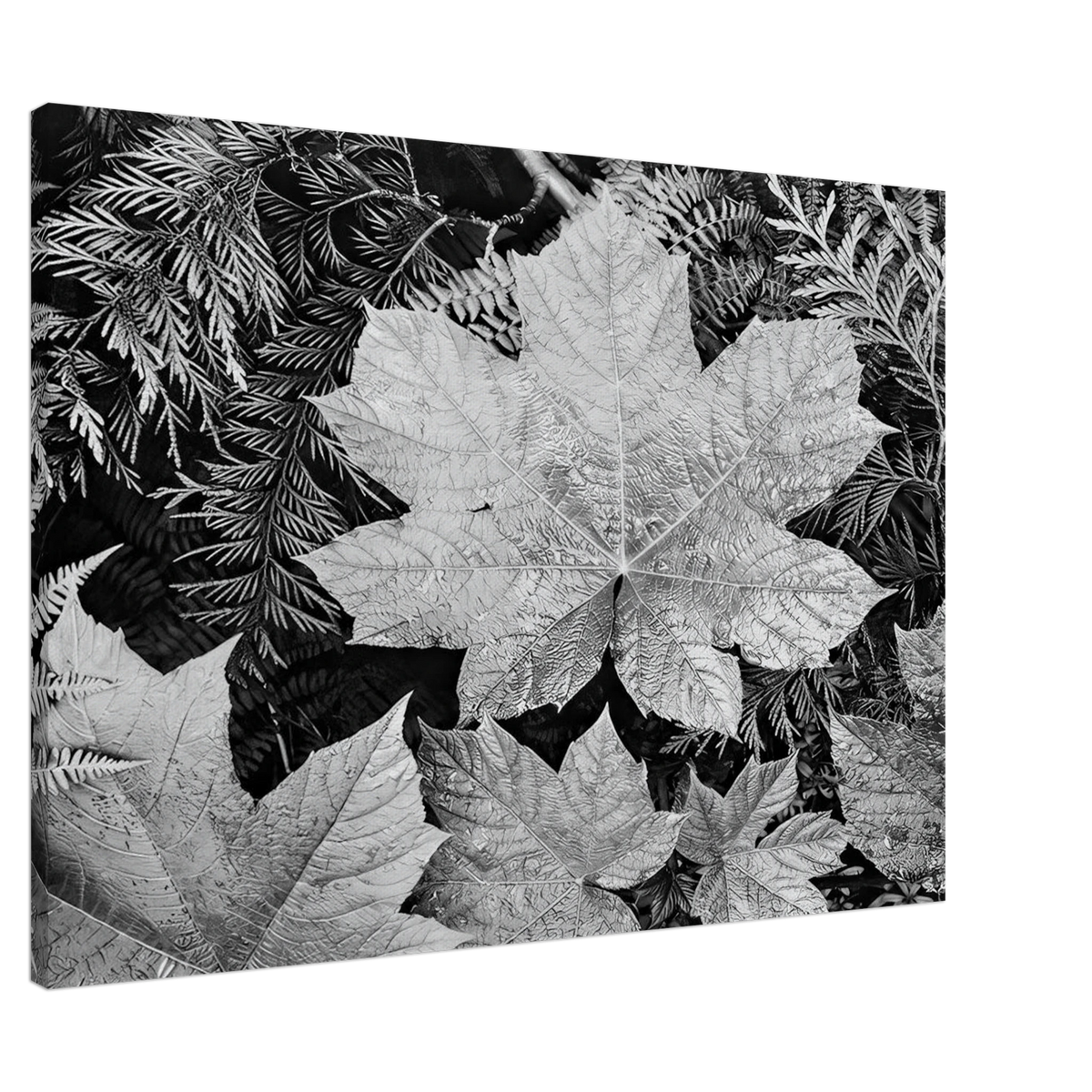 In Glacier National Park Canvas | Ansel Adams Canvas | Ansel Adams Store