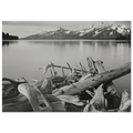 Grand Teton National Park, Wyoming Poster | Ansel Adams Poster | Ansel Adams Store