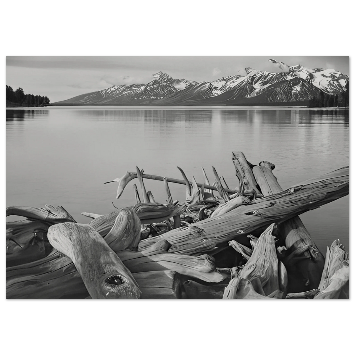 Grand Teton National Park, Wyoming Poster | Ansel Adams Poster | Ansel Adams Store