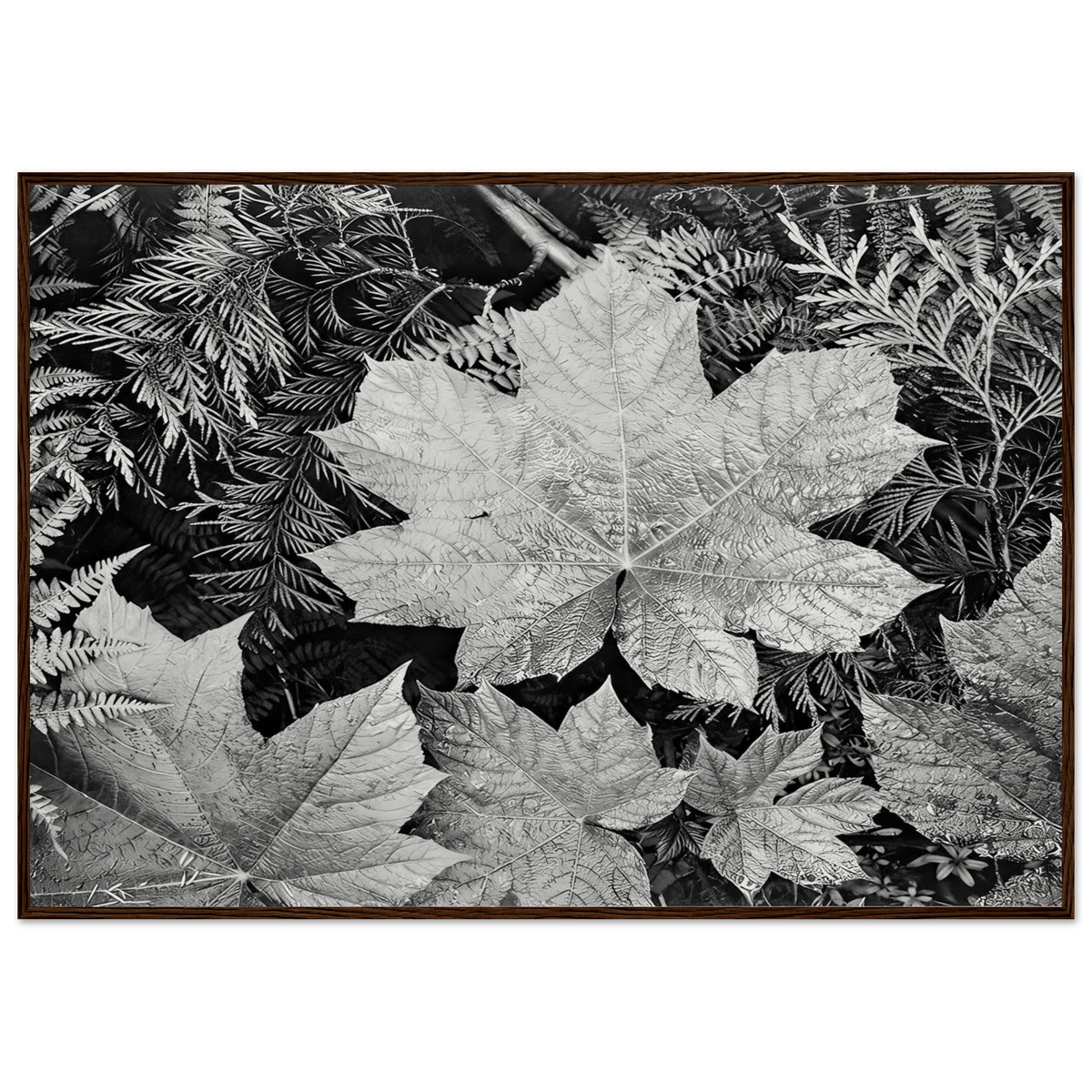 In Glacier National Park Framed Poster | Ansel Adams Framed Prints Wall Art | Ansel Adams Store