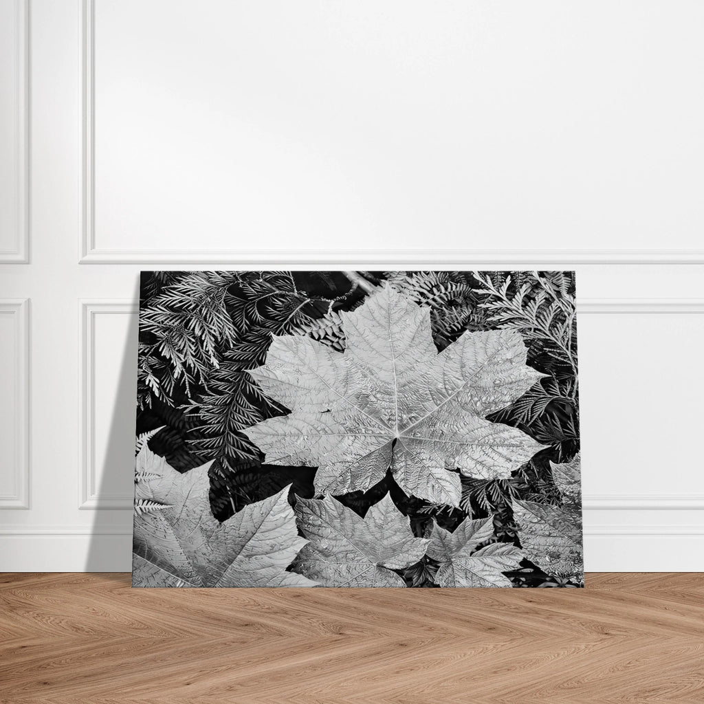 In Glacier National Park Canvas | Ansel Adams Canvas | Ansel Adams Store