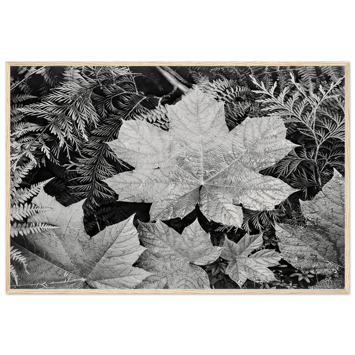 In Glacier National Park Framed Poster | Ansel Adams Framed Prints Wall Art | Ansel Adams Store