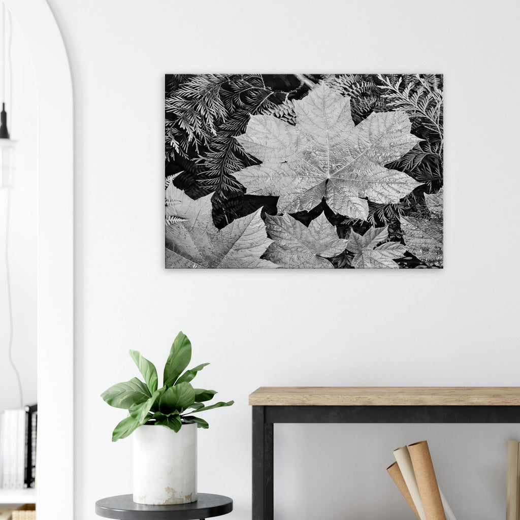 In Glacier National Park Canvas | Ansel Adams Canvas | Ansel Adams Store