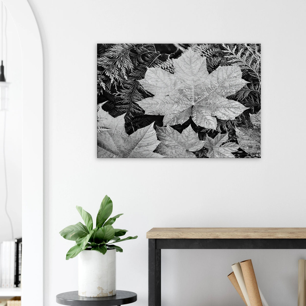 In Glacier National Park Canvas | Ansel Adams Canvas | Ansel Adams Store