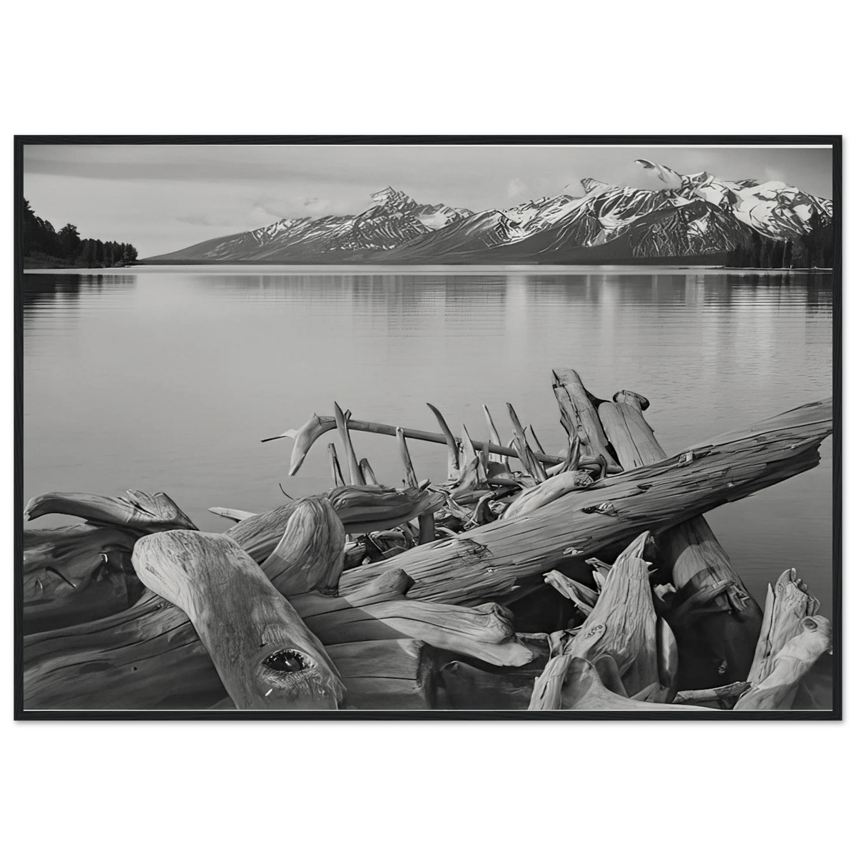 Grand Teton National Park, Wyoming Framed Poster | Ansel Adams Framed Prints Wall Art | Ansel Adams Store