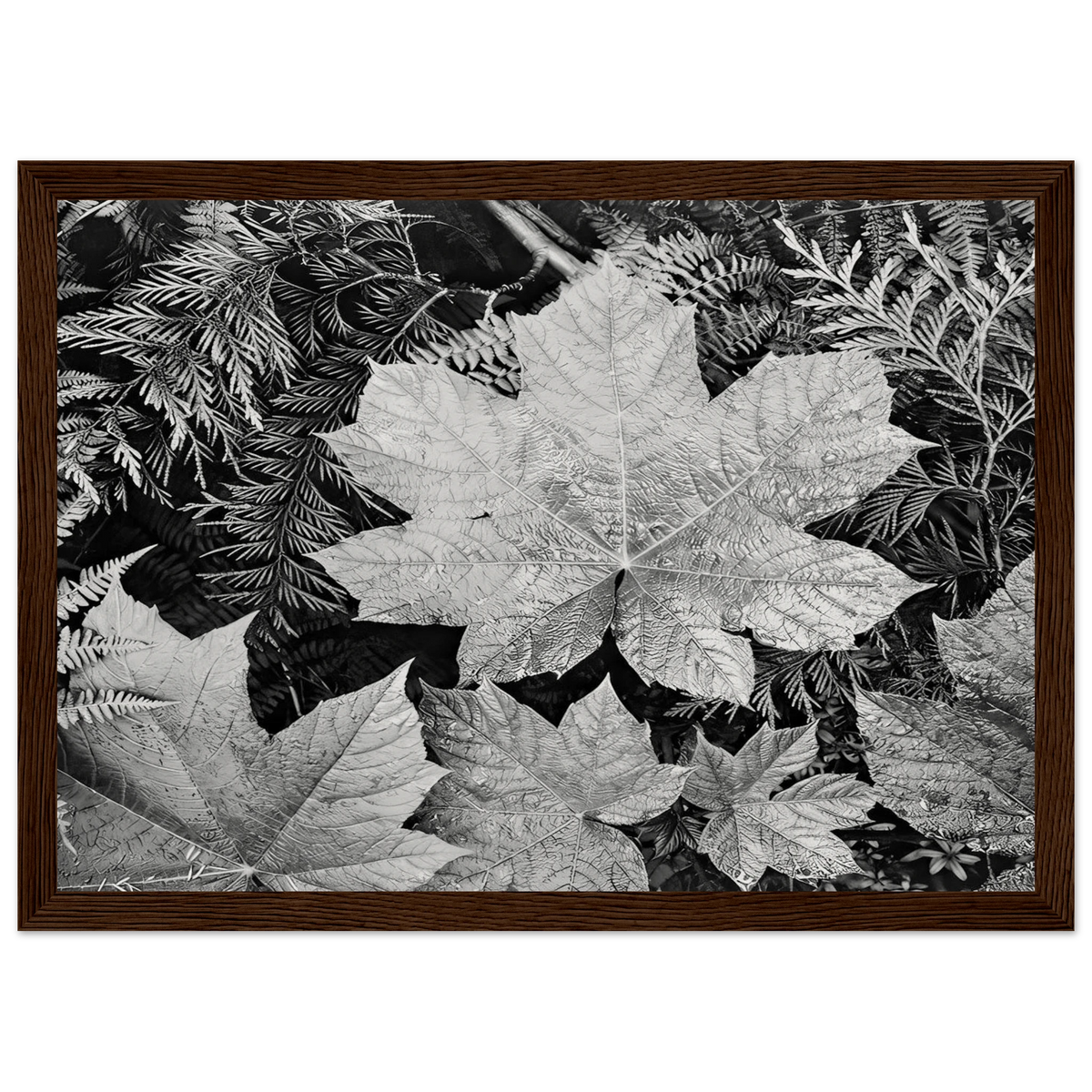 In Glacier National Park Framed Poster | Ansel Adams Framed Prints Wall Art | Ansel Adams Store
