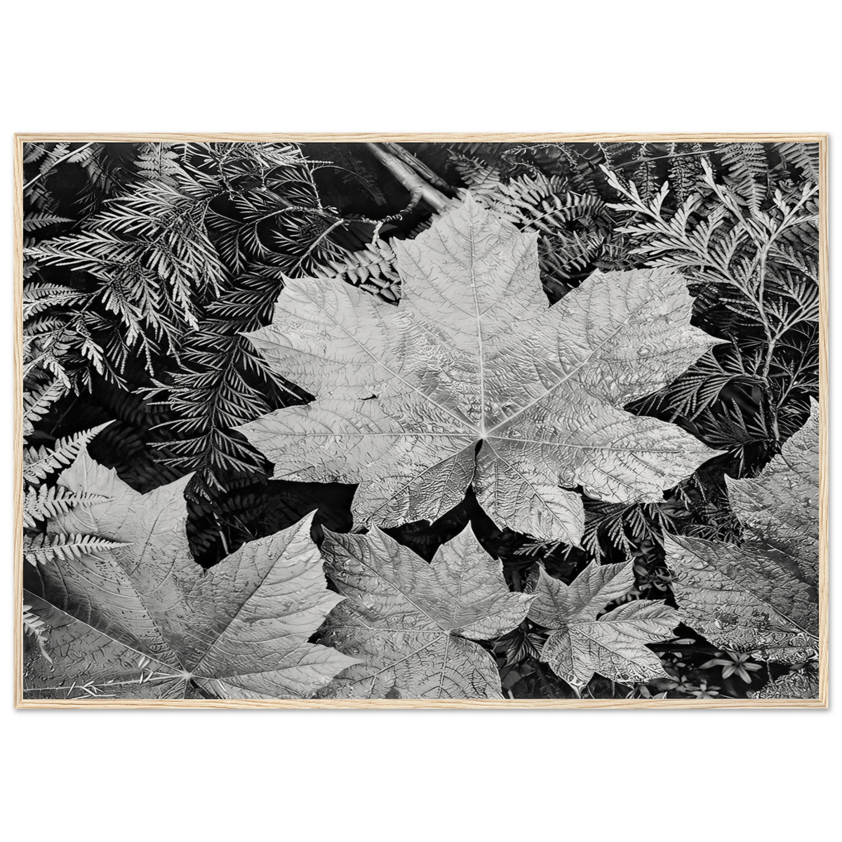 In Glacier National Park Framed Poster | Ansel Adams Framed Prints Wall Art | Ansel Adams Store