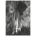Onyx drapes in the Papoose Room, Carlsbad Caverns Poster | Ansel Adams Poster | Ansel Adams Store