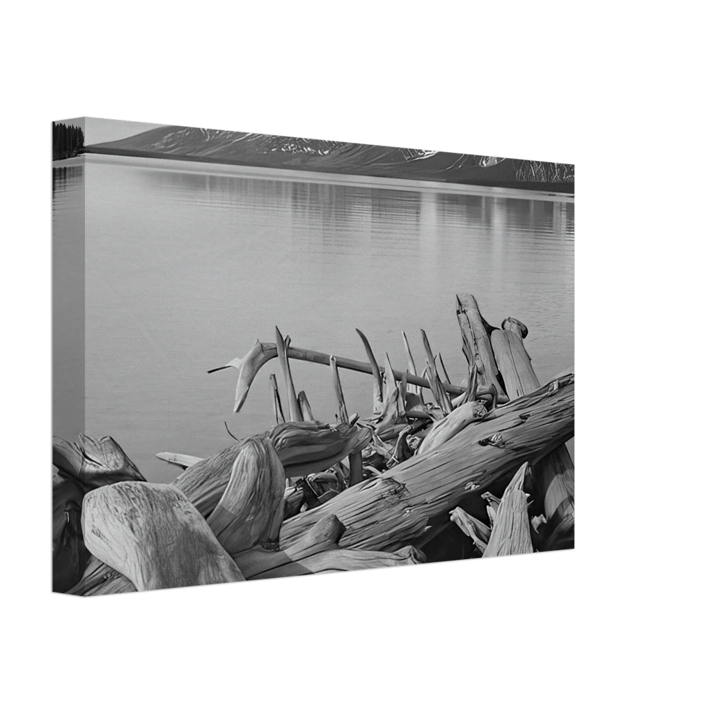 Grand Teton National Park, Wyoming Canvas | Ansel Adams Canvas | Ansel Adams Store