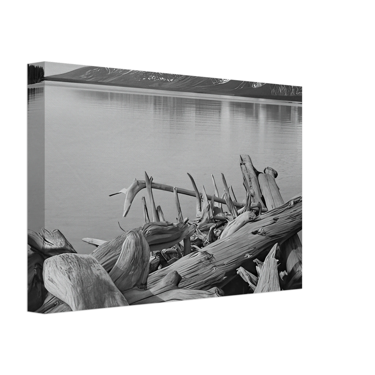Grand Teton National Park, Wyoming Canvas | Ansel Adams Canvas | Ansel Adams Store