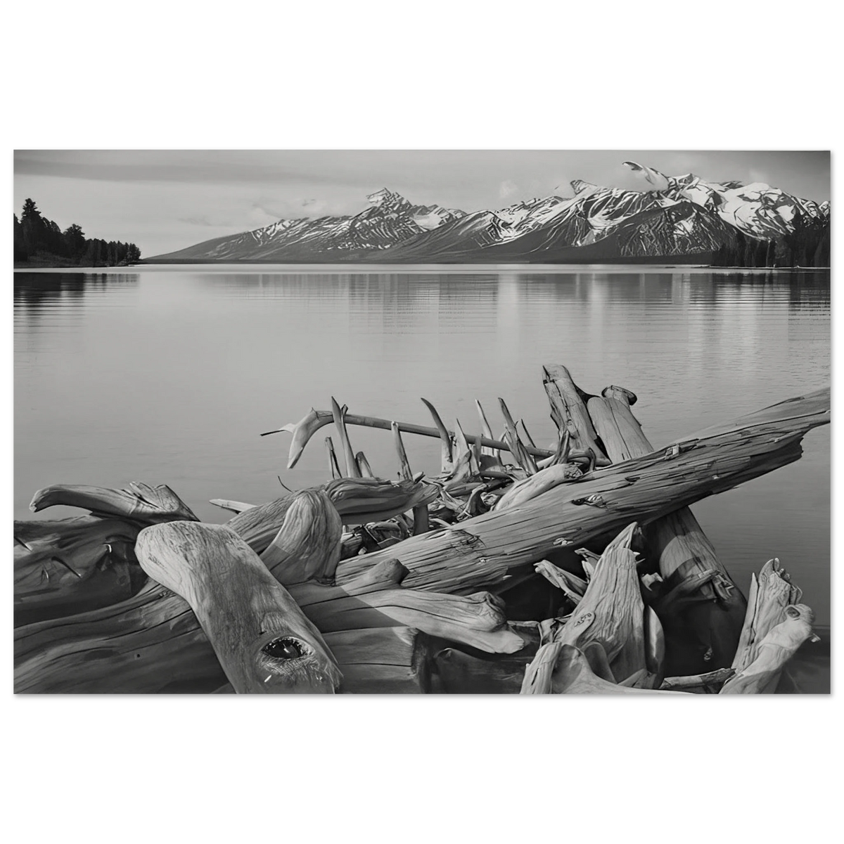 Grand Teton National Park, Wyoming Poster | Ansel Adams Poster | Ansel Adams Store