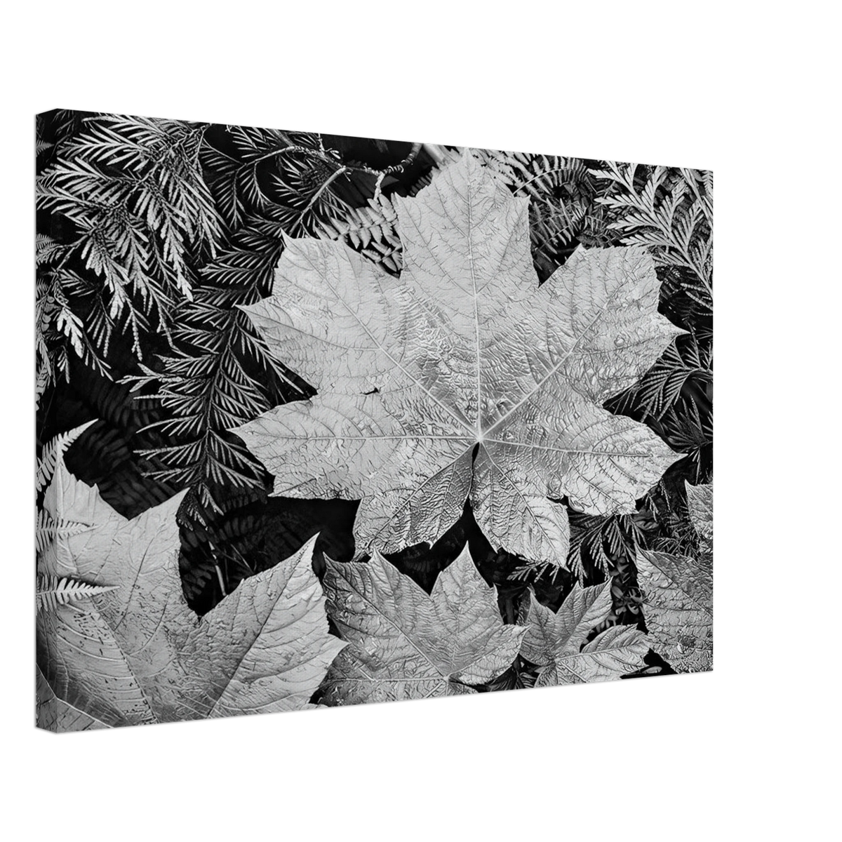 In Glacier National Park Canvas | Ansel Adams Canvas | Ansel Adams Store