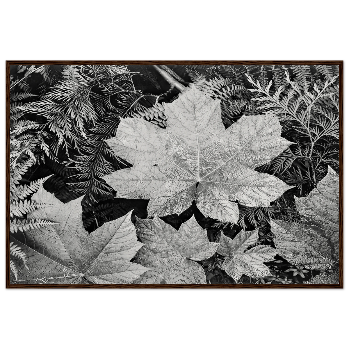 In Glacier National Park Framed Poster | Ansel Adams Framed Prints Wall Art | Ansel Adams Store
