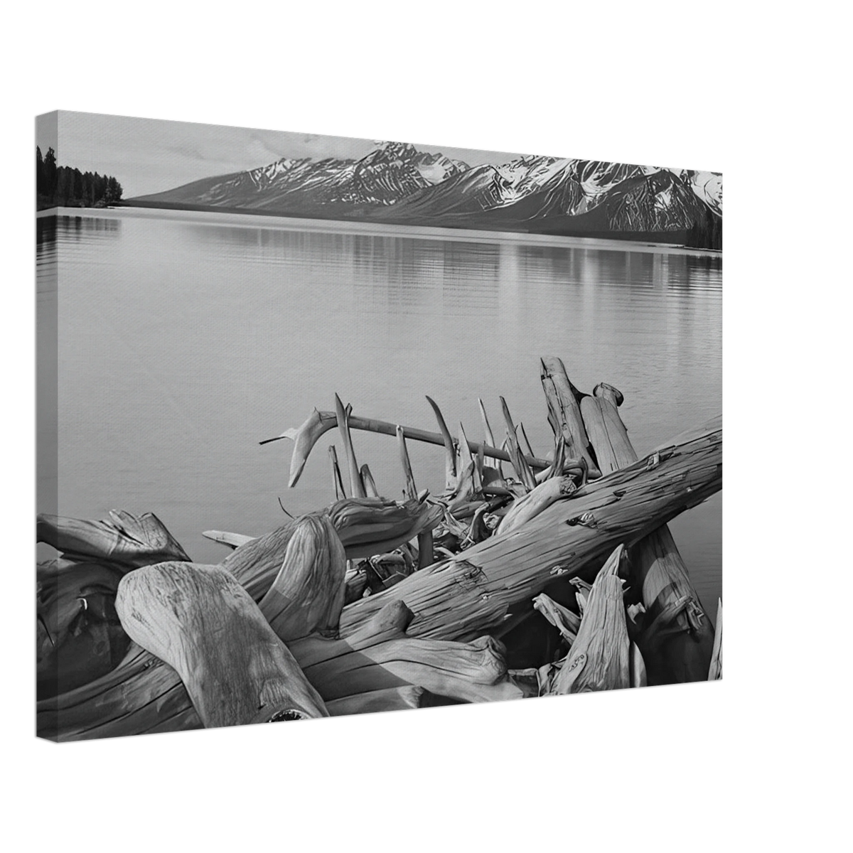 Grand Teton National Park, Wyoming Canvas | Ansel Adams Canvas | Ansel Adams Store