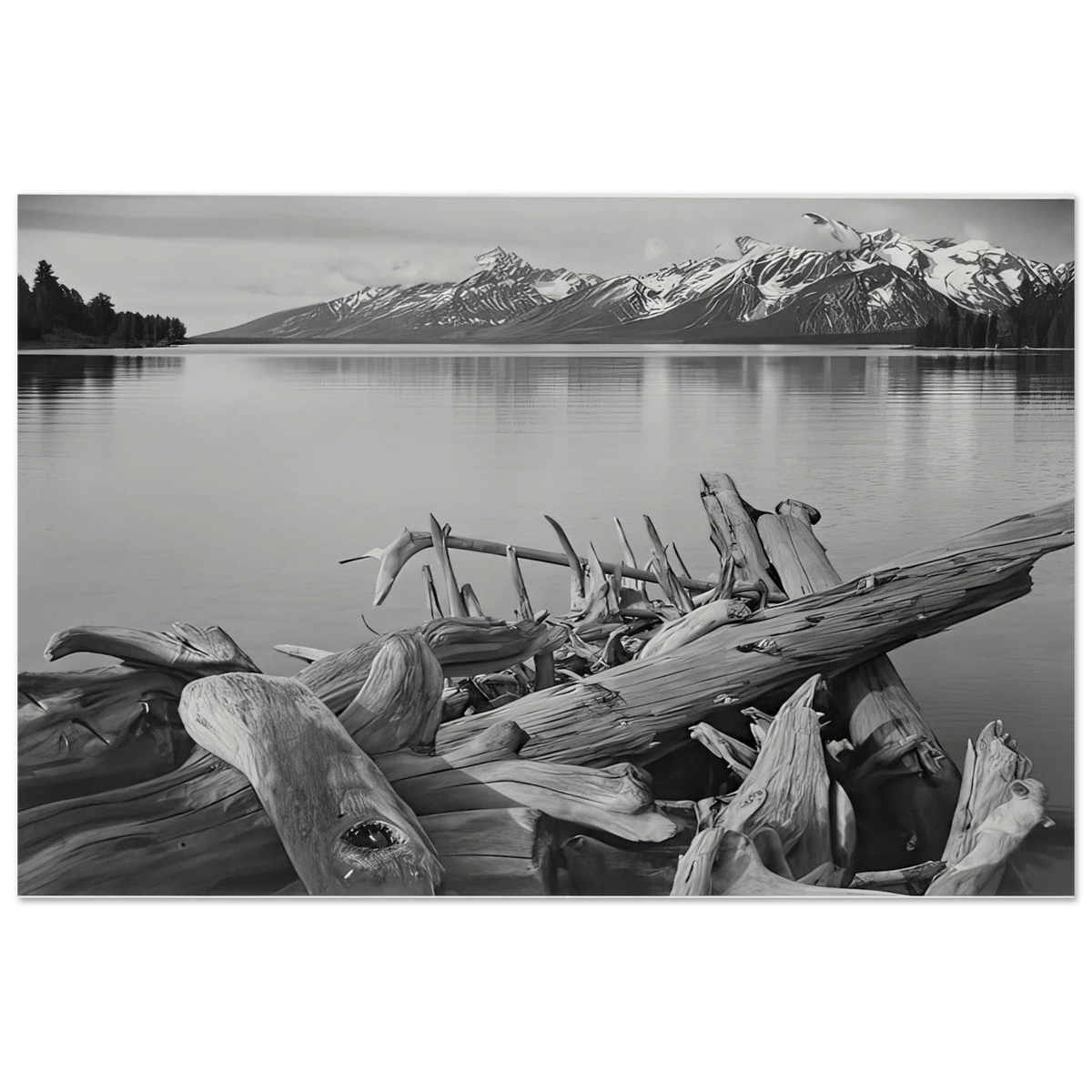 Grand Teton National Park, Wyoming Poster | Ansel Adams Poster | Ansel Adams Store