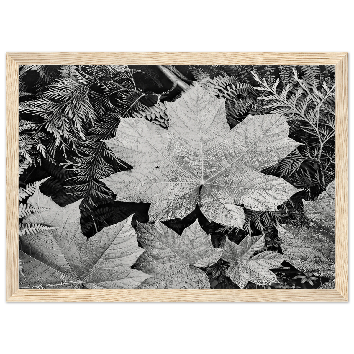 In Glacier National Park Framed Poster | Ansel Adams Framed Prints Wall Art | Ansel Adams Store