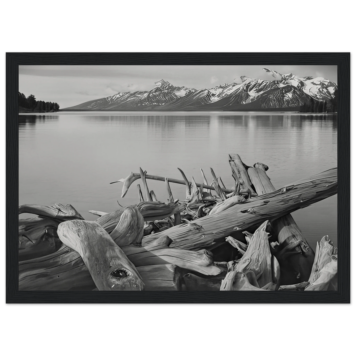 Grand Teton National Park, Wyoming Framed Poster | Ansel Adams Framed Prints Wall Art | Ansel Adams Store