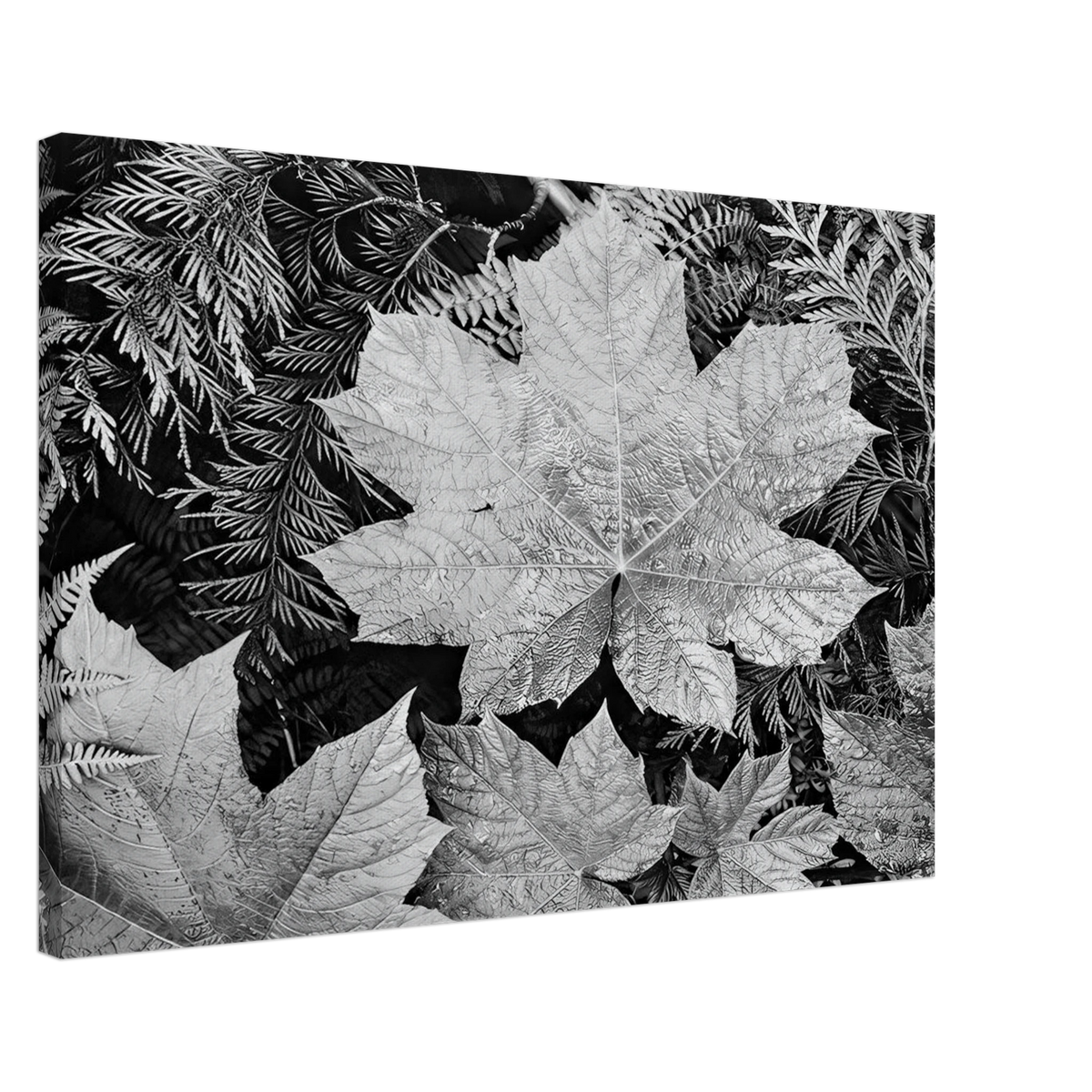 In Glacier National Park Canvas | Ansel Adams Canvas | Ansel Adams Store
