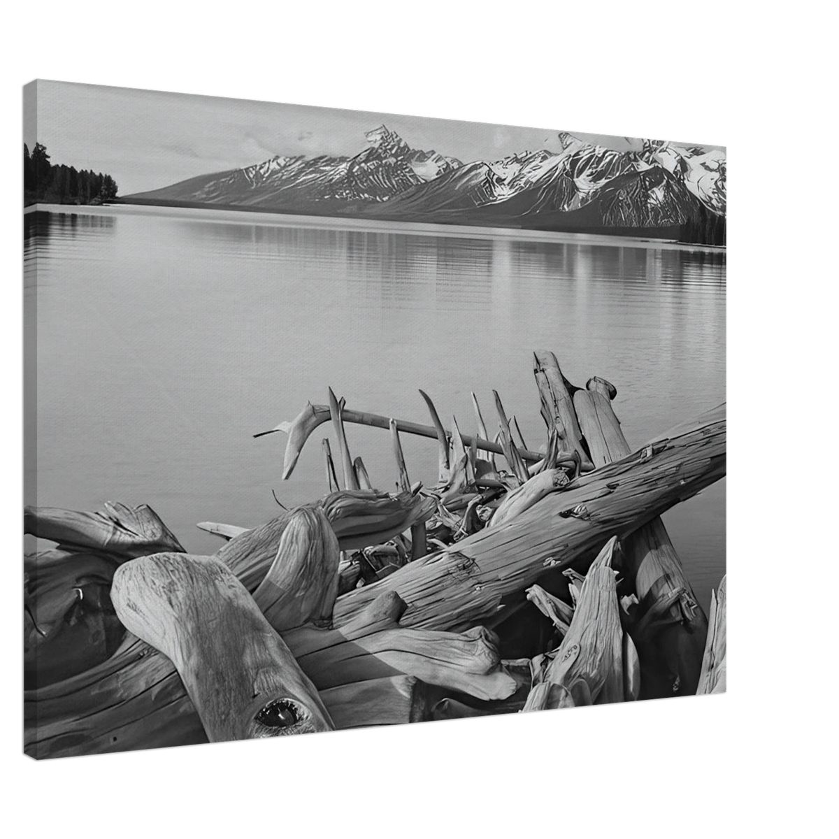 Grand Teton National Park, Wyoming Canvas | Ansel Adams Canvas | Ansel Adams Store
